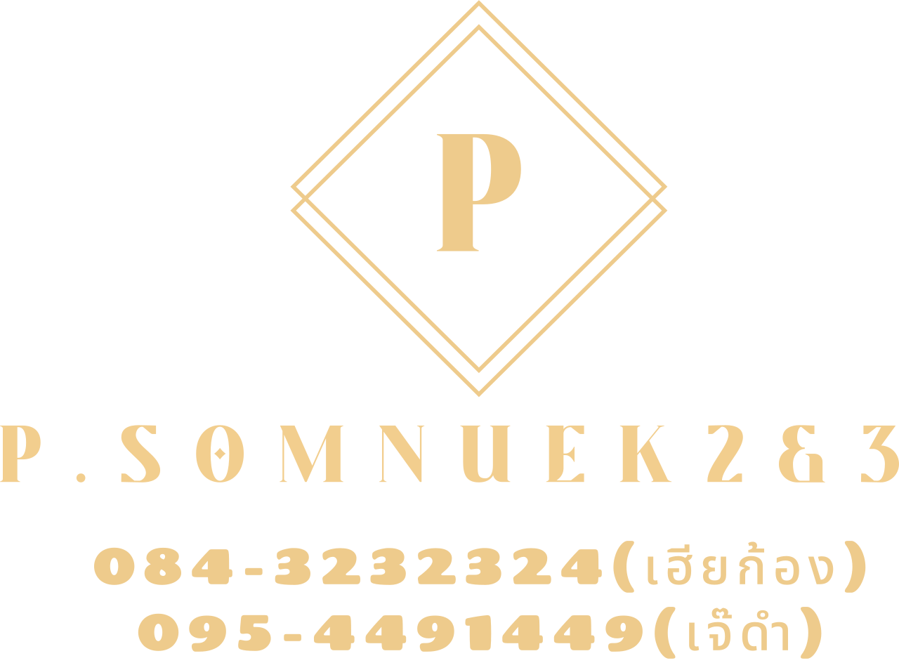 P.somnuek2&3 's logo
