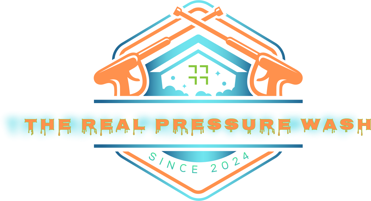 THE REAL PRESSURE WASH's logo