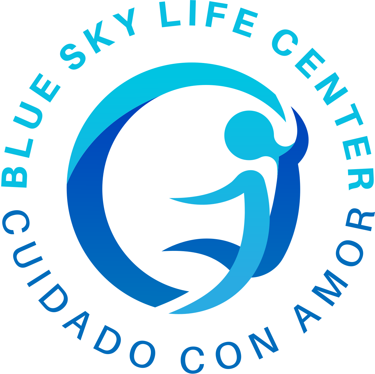 Blue sky life center's web page