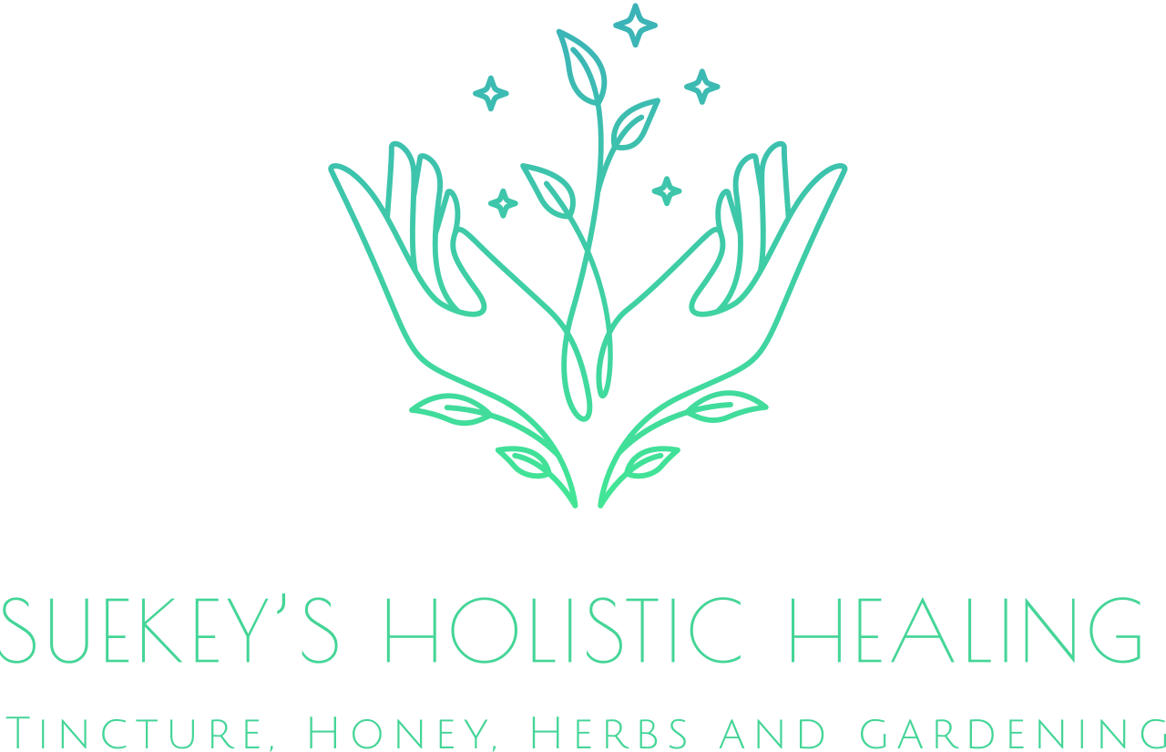 Suekey’s Holistic Healing 's logo
