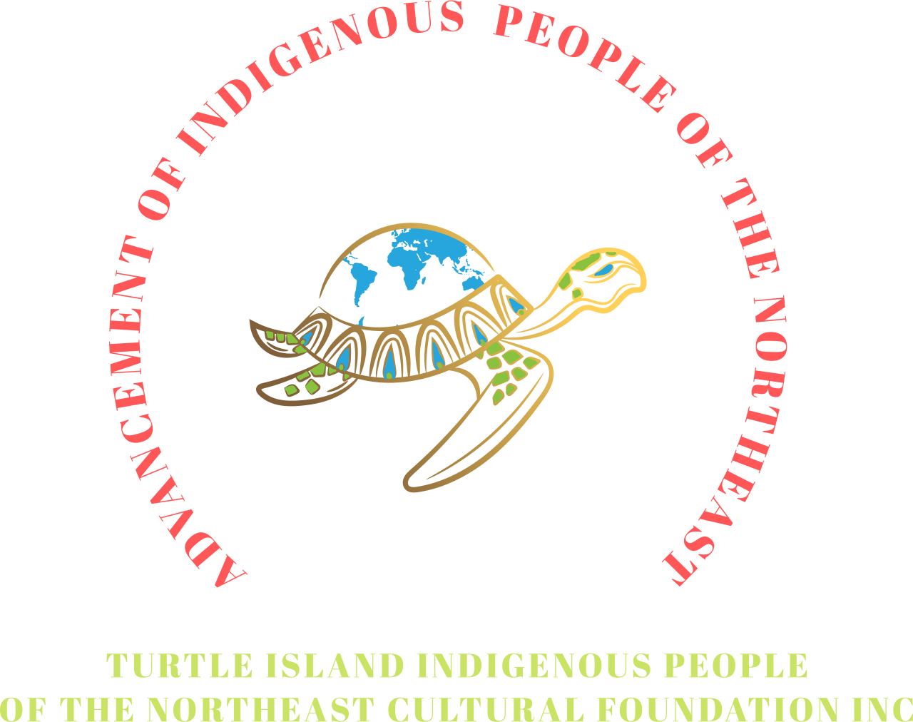 TURTLE ISLAND INDIGENOUS PEOPLE 
OF THE NORTHEAST CULTURAL FOUNDATION INC 's logo