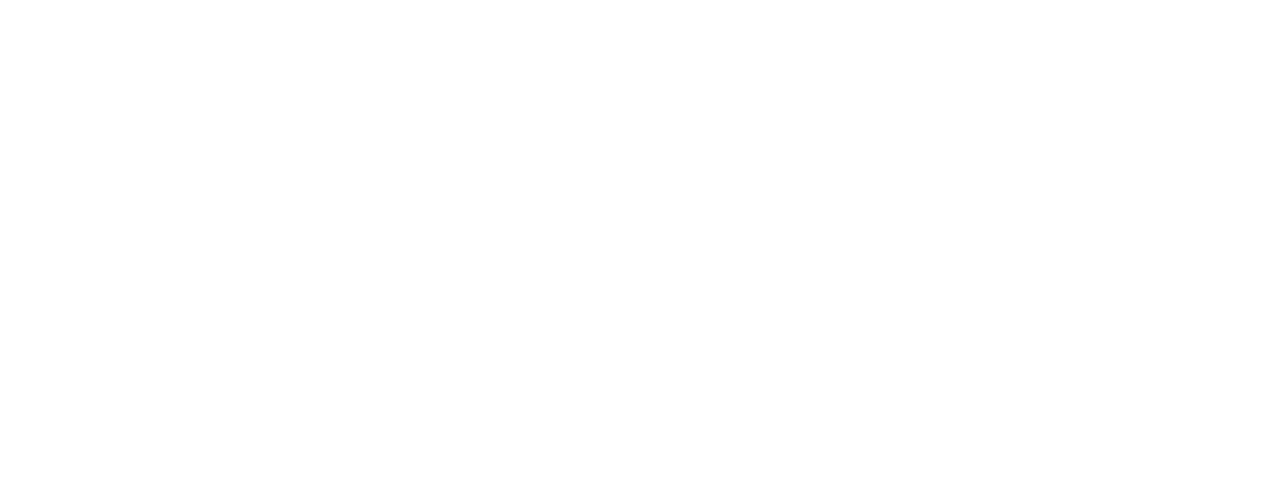Borealis Designs AK's logo