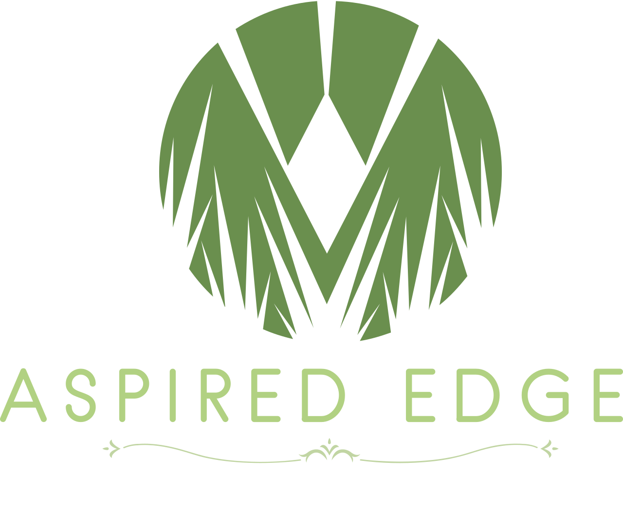 Aspired Edge Enterprise Landscaping 's web page