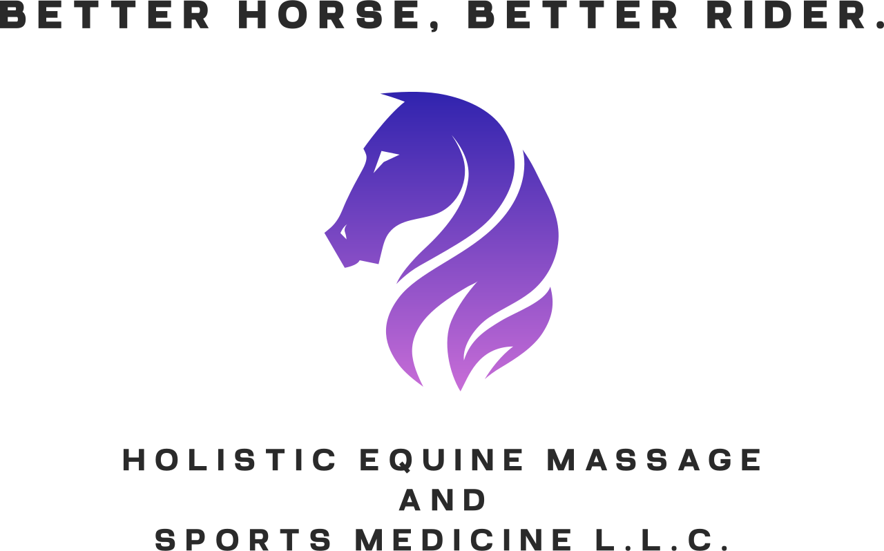 Better Horse, Better Rider.'s logo