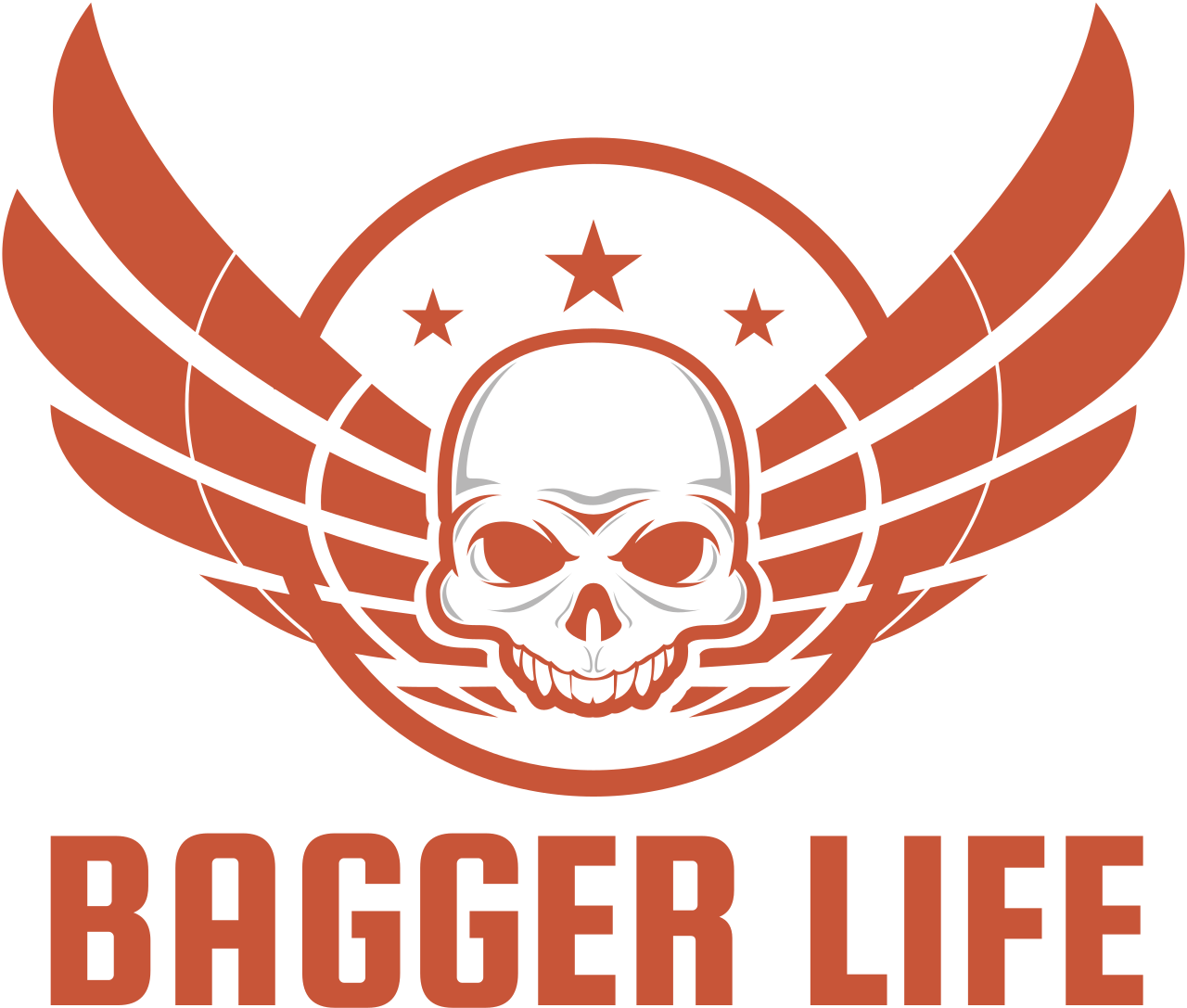Bagger Life's web page