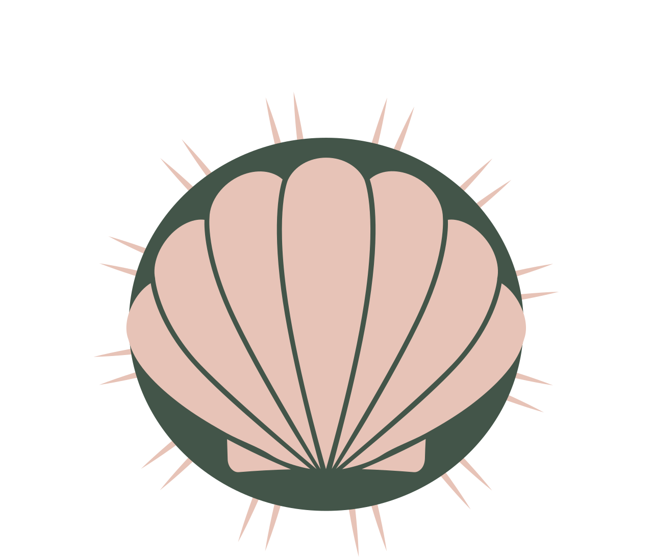 COASTAL CERAMICS's logo