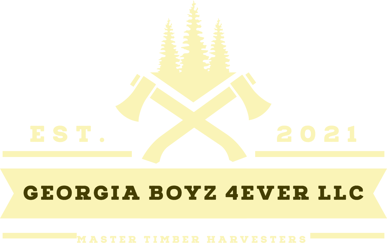 Georgia Boyz 4Ever LLC's logo