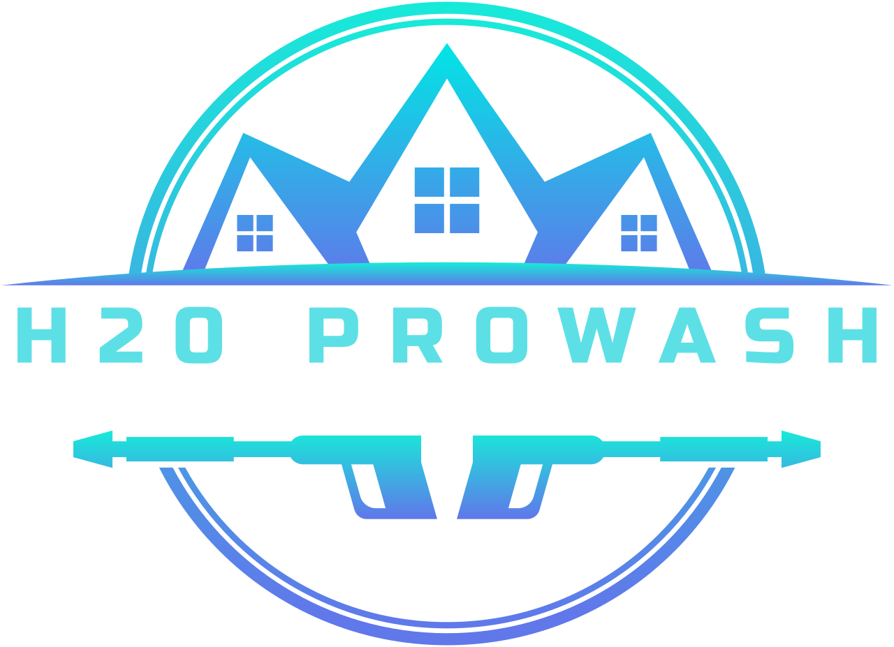 H20 Prowash's logo