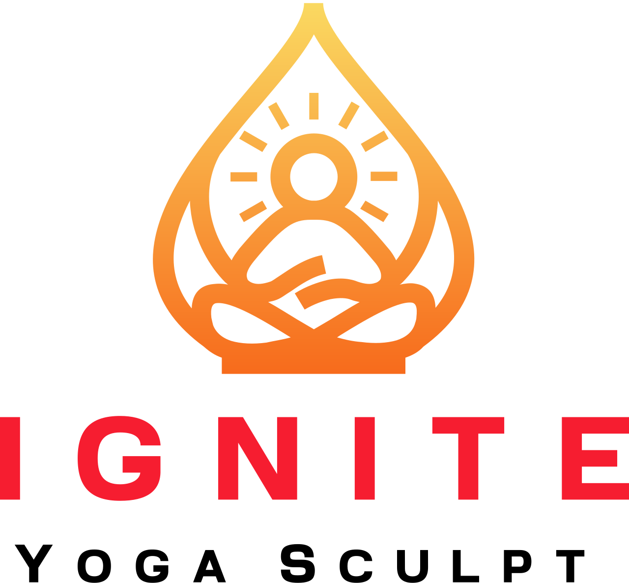  IGNITE 's logo