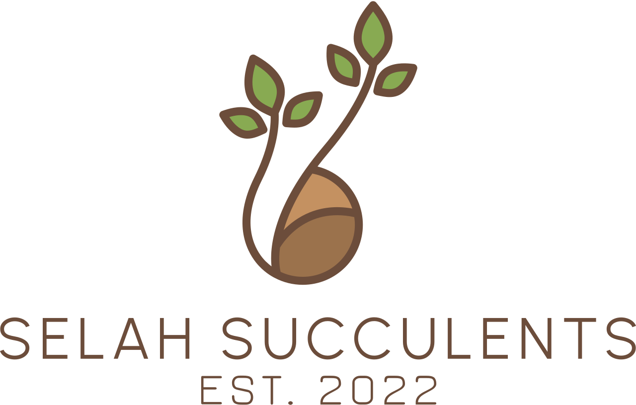SELAH SUCCULENTS's logo