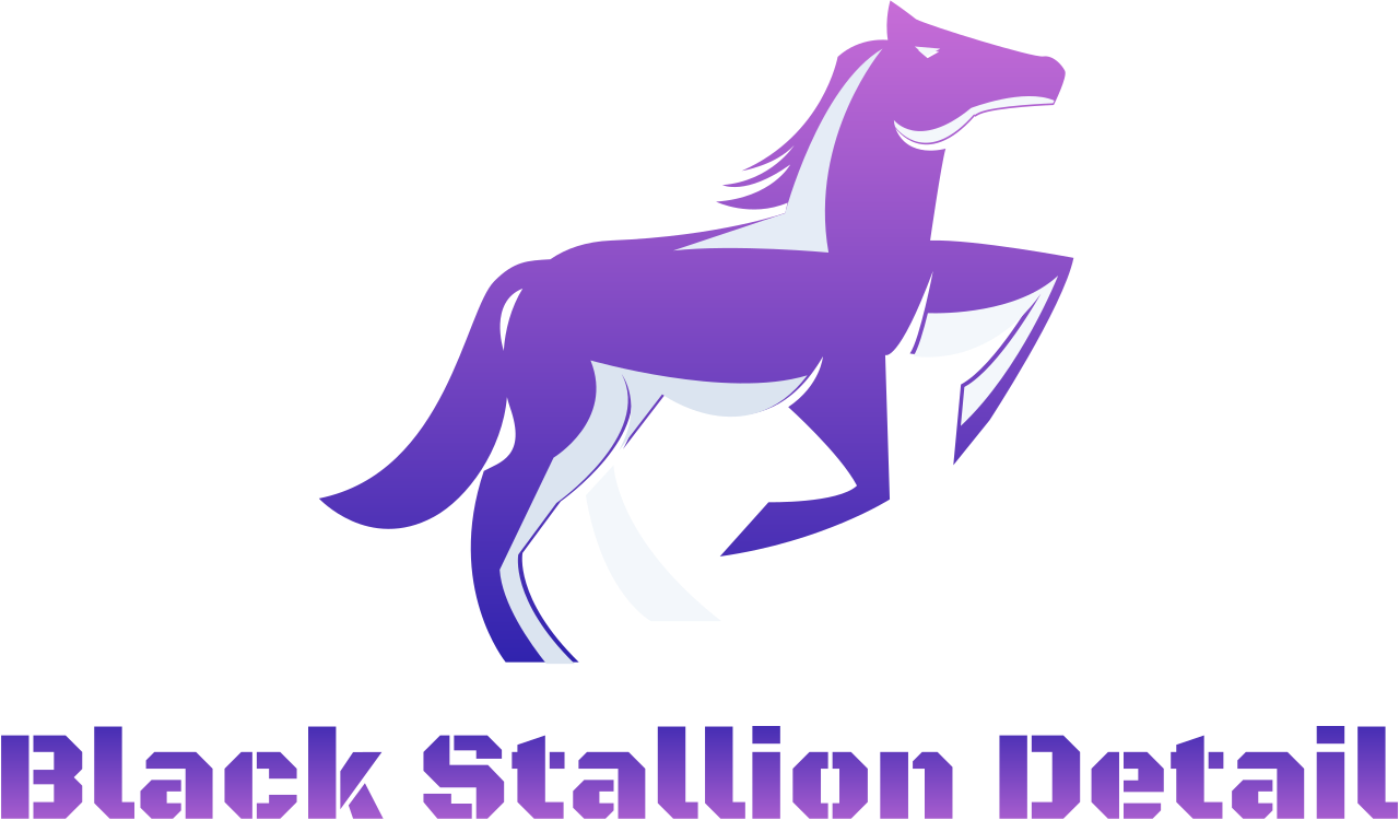 Black Stallion Detail's logo