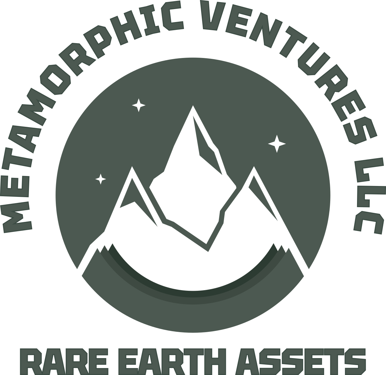 METAMORPHIC VENTURES LLC's web page