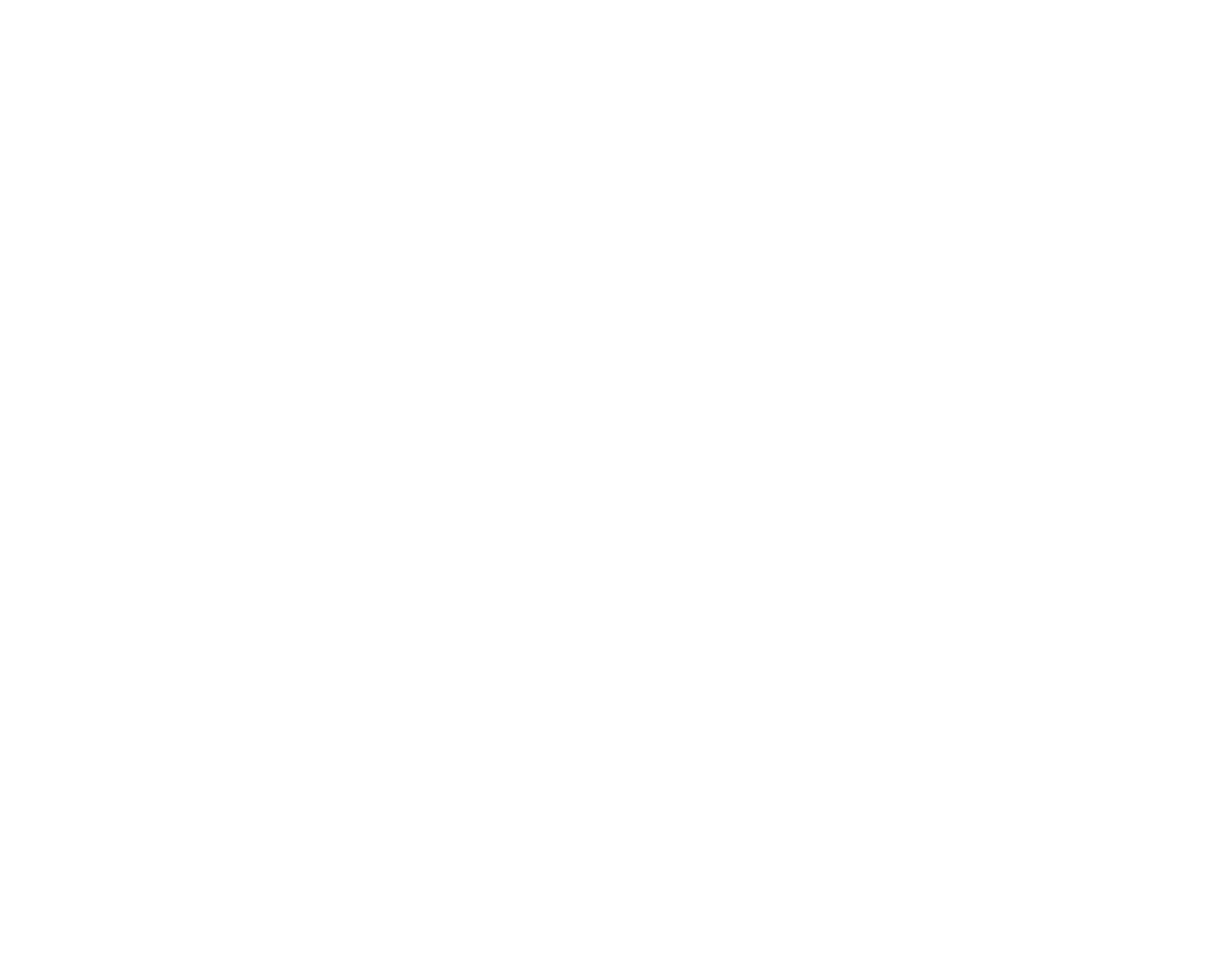 NORBICOM LLC.'s logo