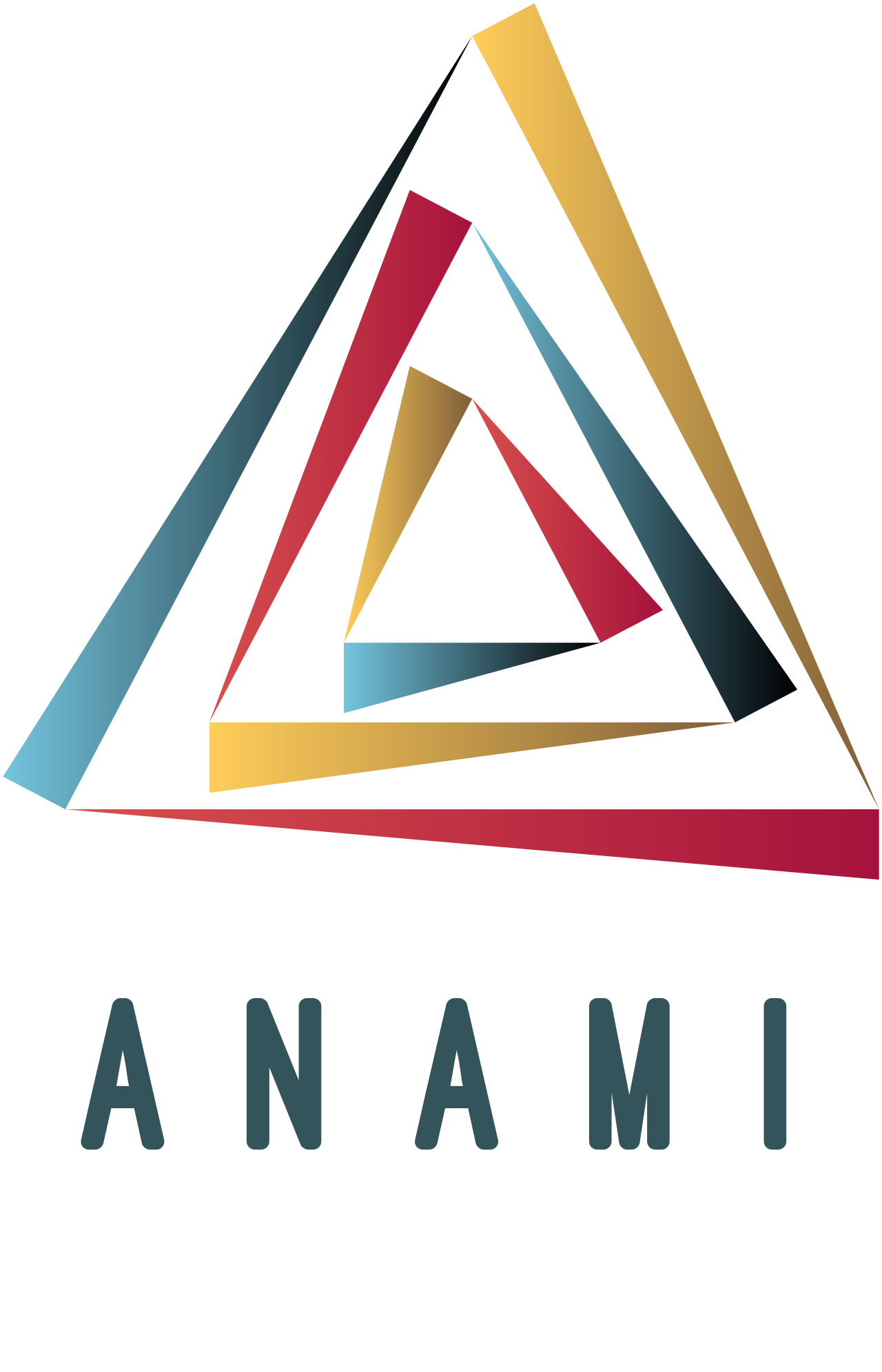 ANAMI's logo