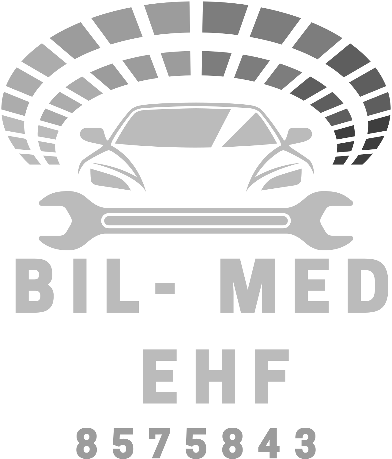 Bil- med 
ehf's web page