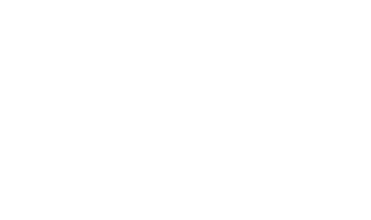 SE PRIME INVESTMENTS's logo