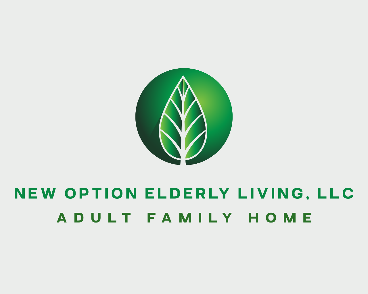 NEW OPTION ELDERLY LIVING, LLC's web page