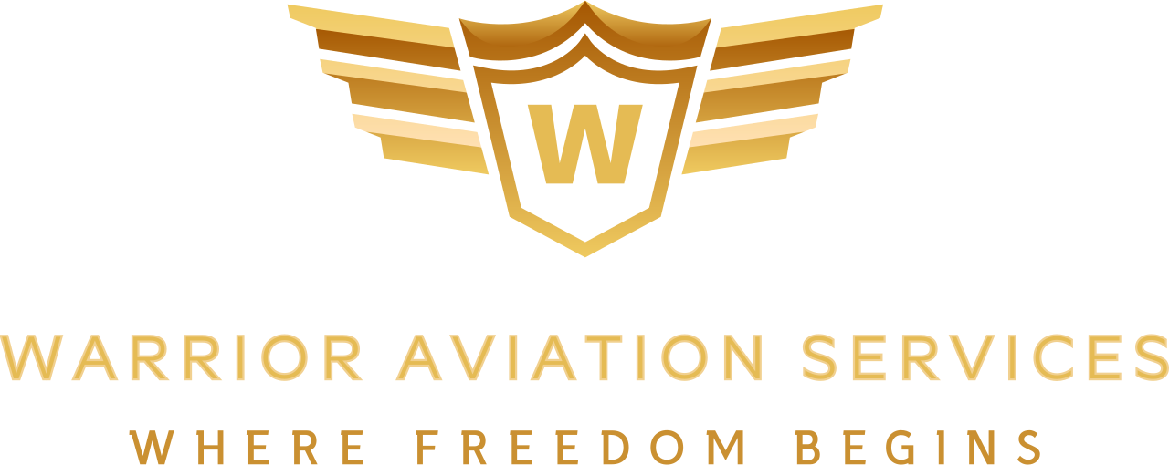 Light Sport Flight Training's logo