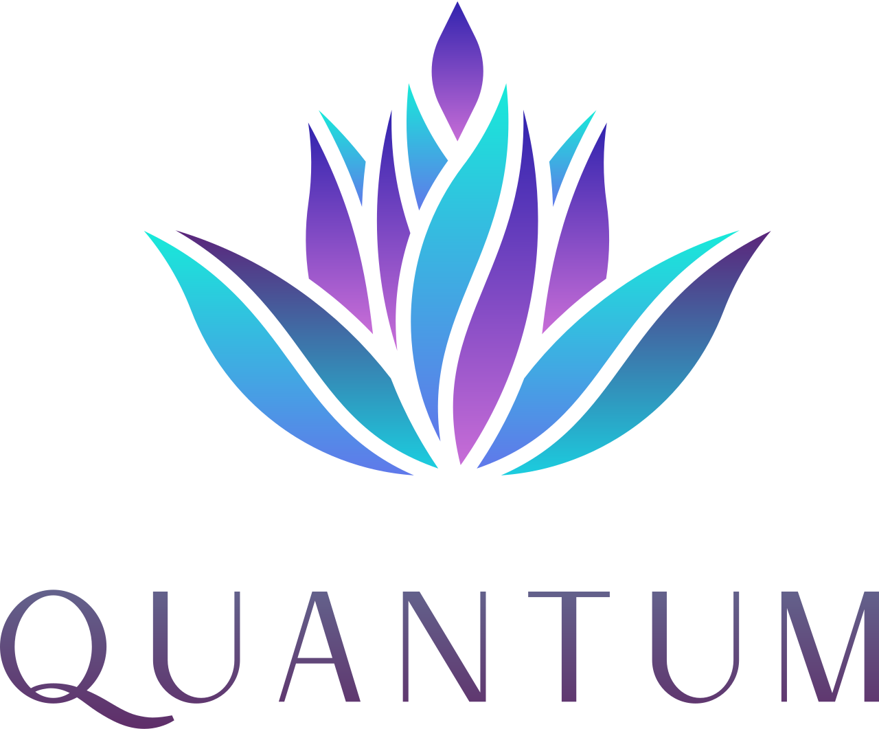 Quantum's logo