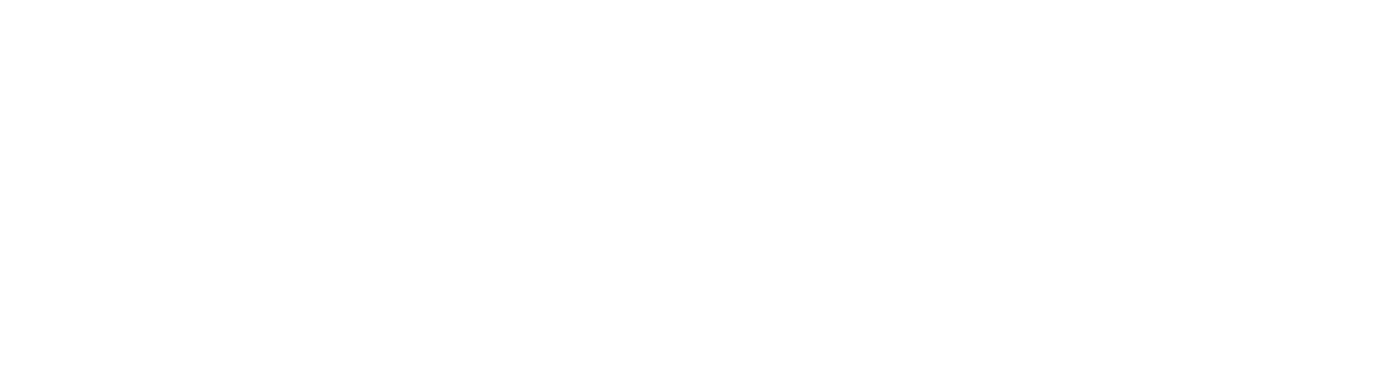 hadi Nassar's logo