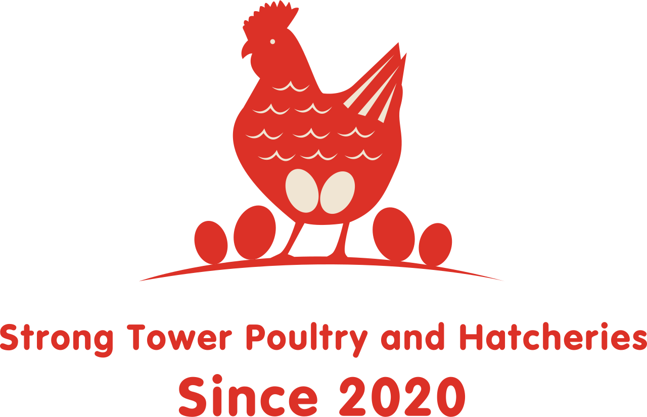 Strong Tower Poultry and Hatcheries's web page
