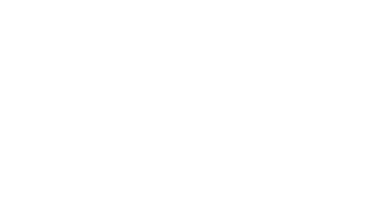 SaFast Logistics LLC's web page