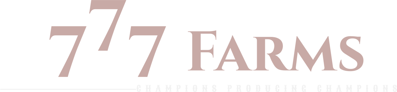 7's logo