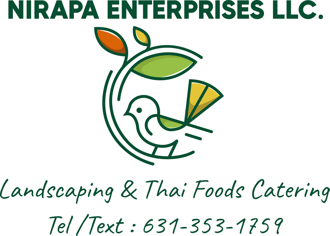NIRAPA ENTERPRISES LLC.'s web page