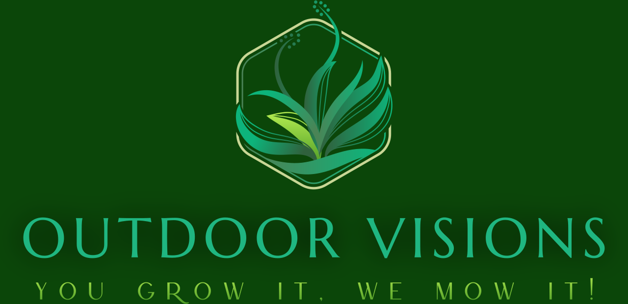 Outdoor Visions's logo
