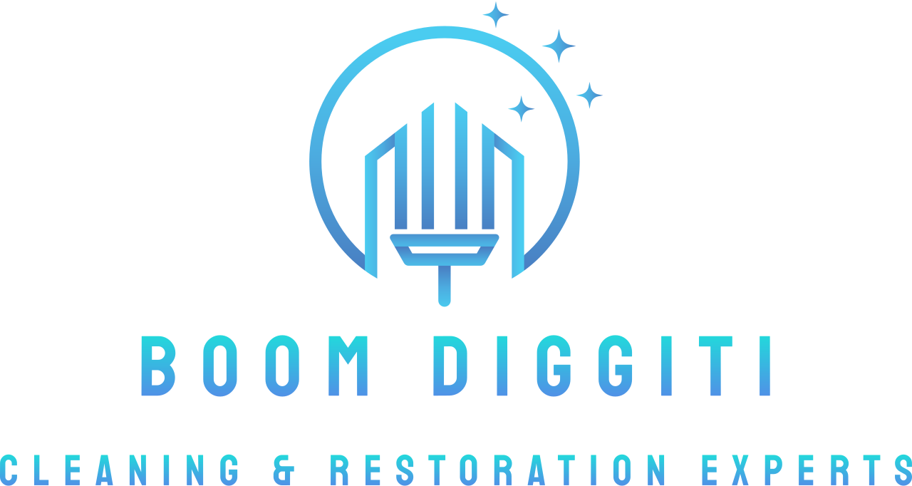 BOOM DIGGITi's web page