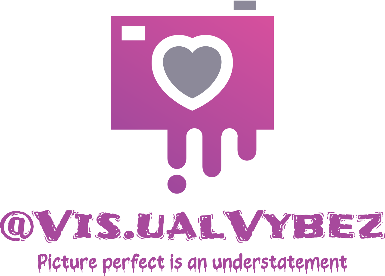 @Vis.ualVybez's logo