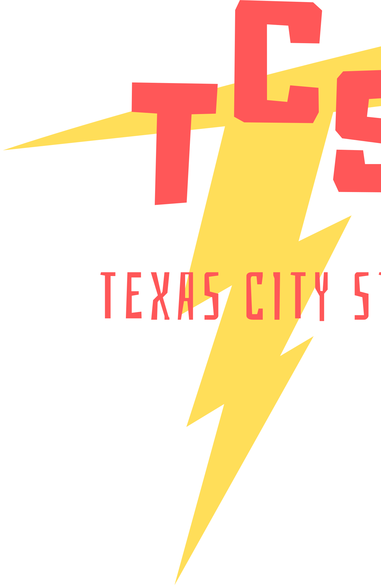 TEXAS CITY STEEL's web page