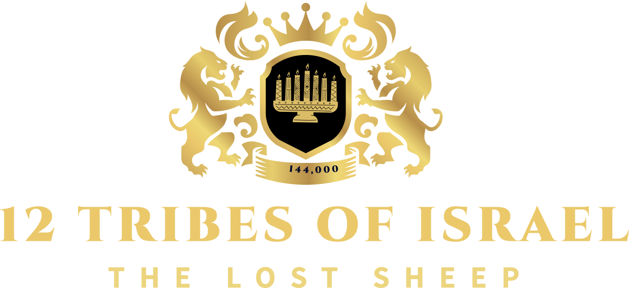 12 Tribes of Israel's logo