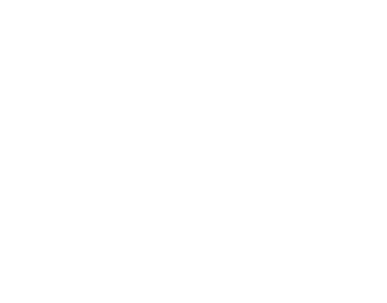 B.I.G STORE's logo
