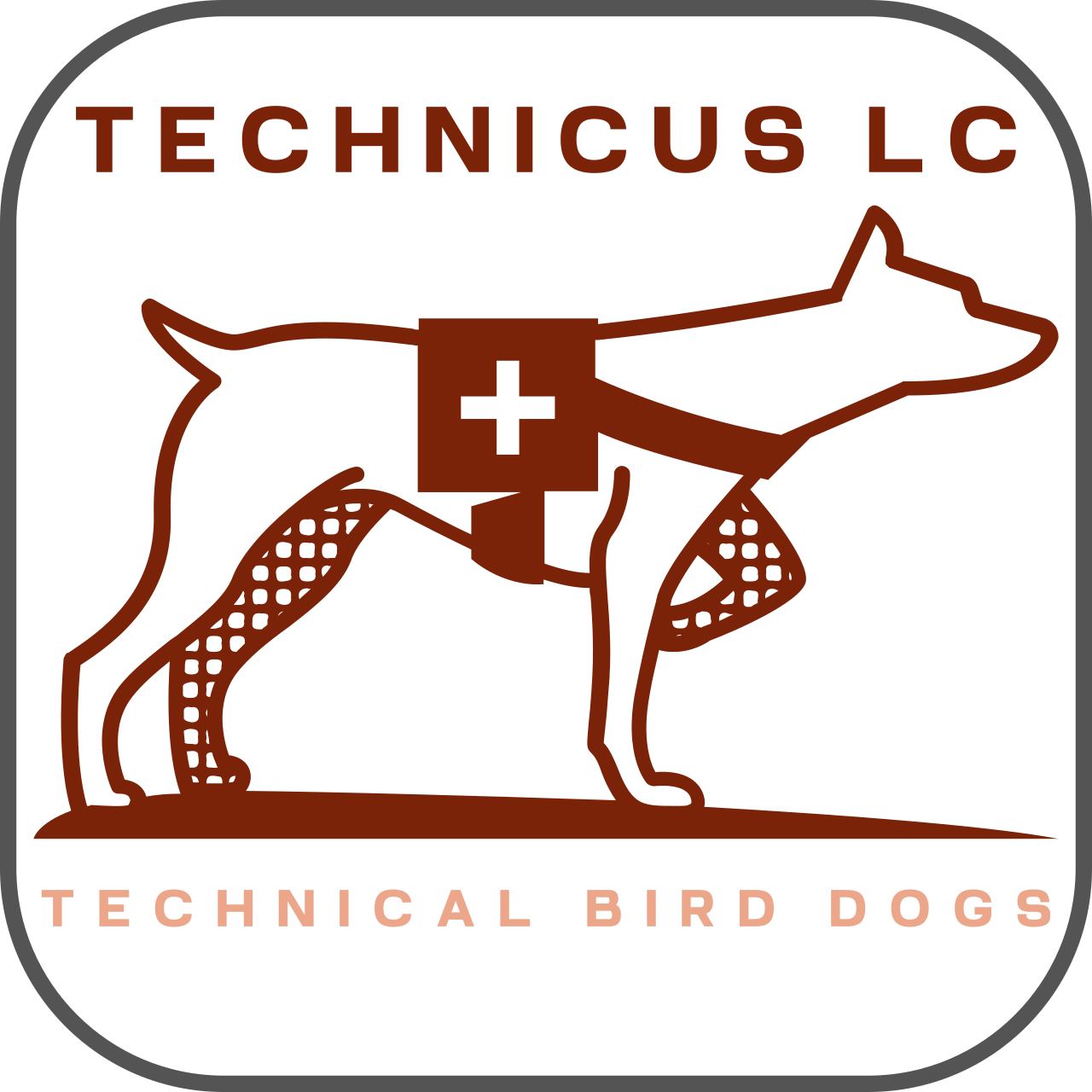 Technicus LC's logo