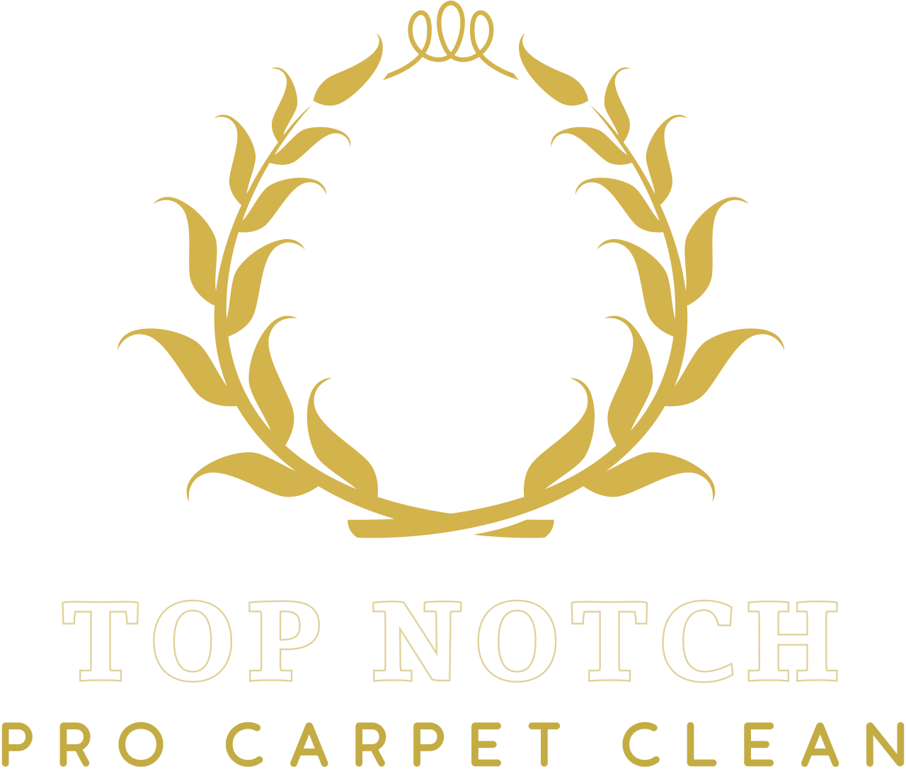 Top Notch's logo