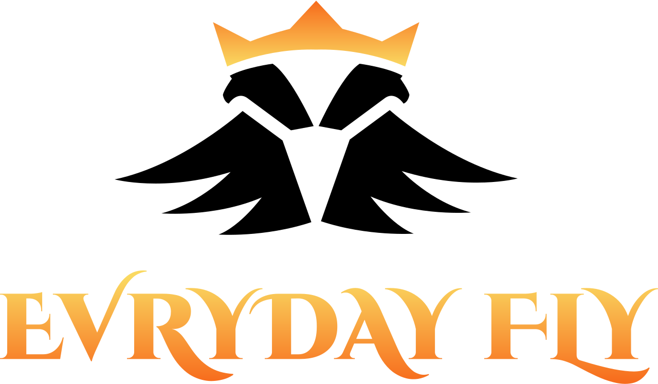 EVRYDAY FLY's logo
