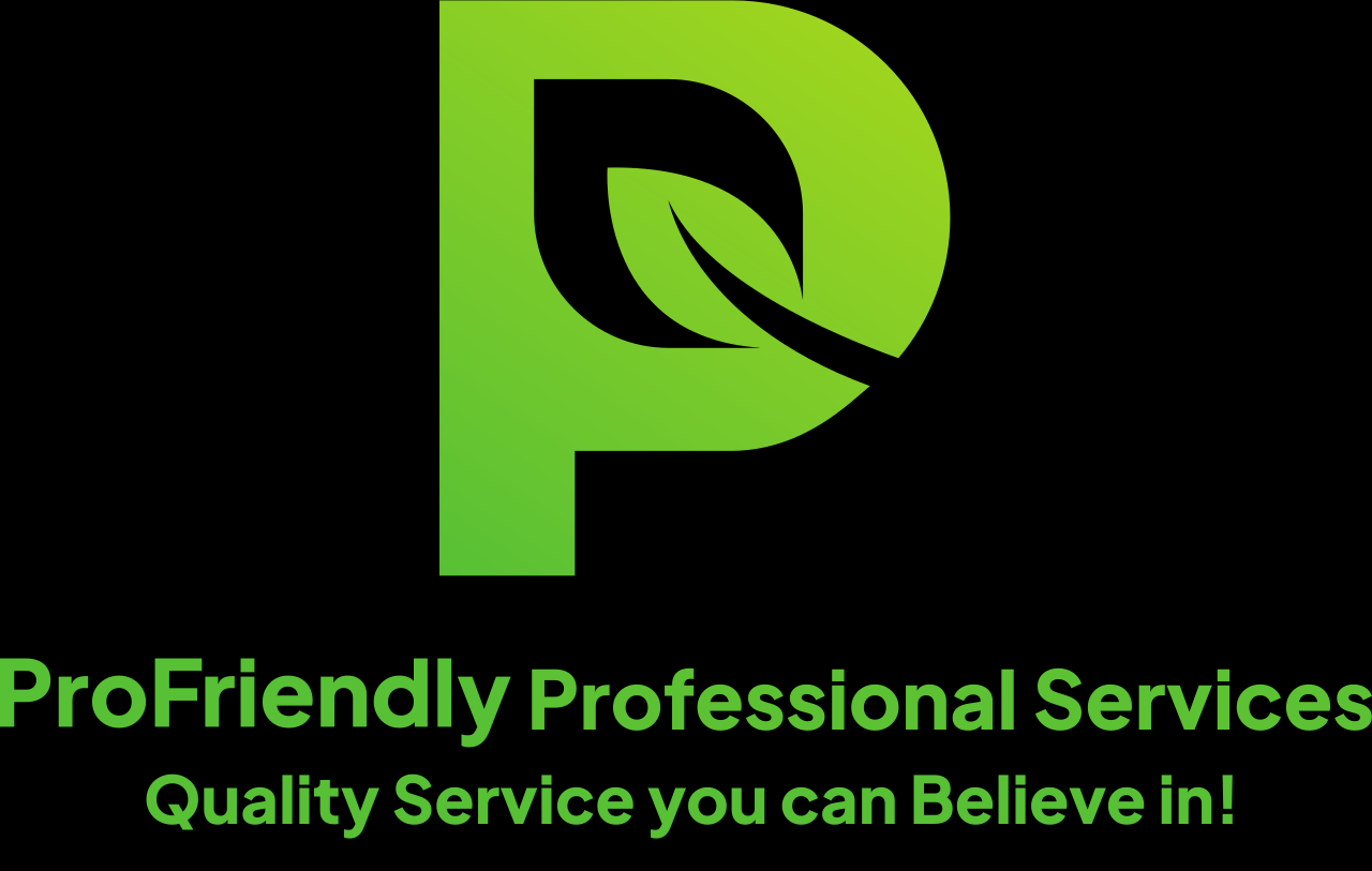  Professional Services 's logo