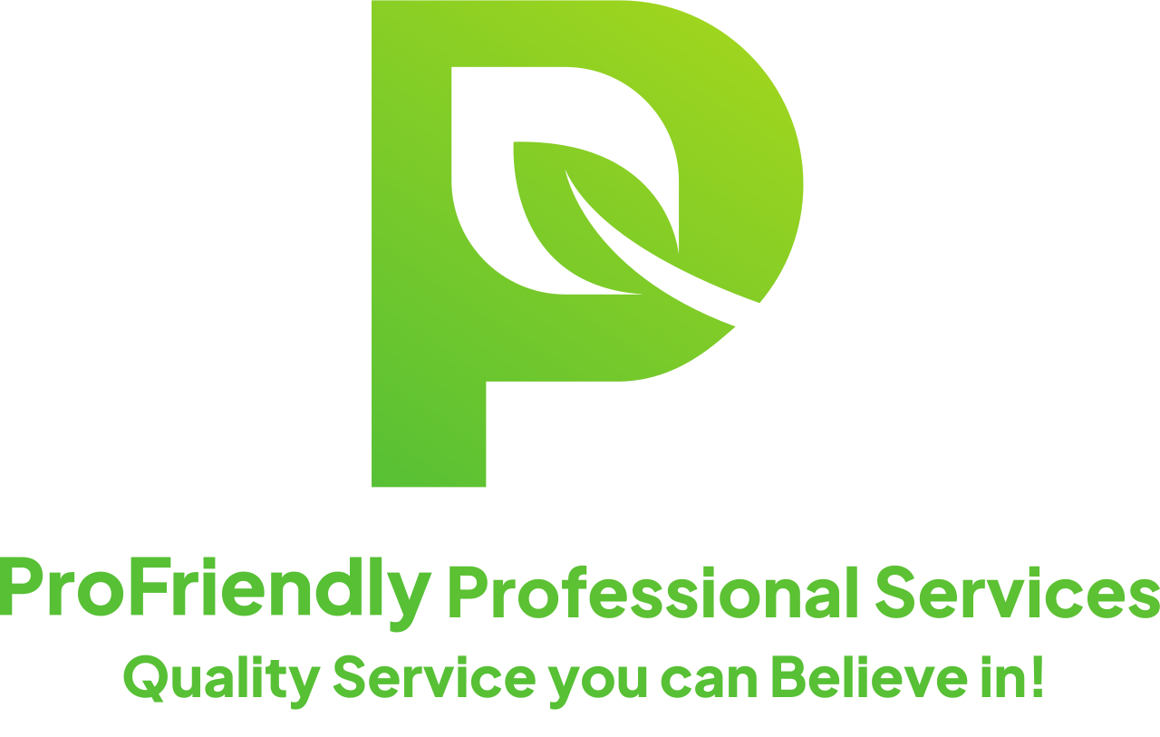  Professional Services 's logo