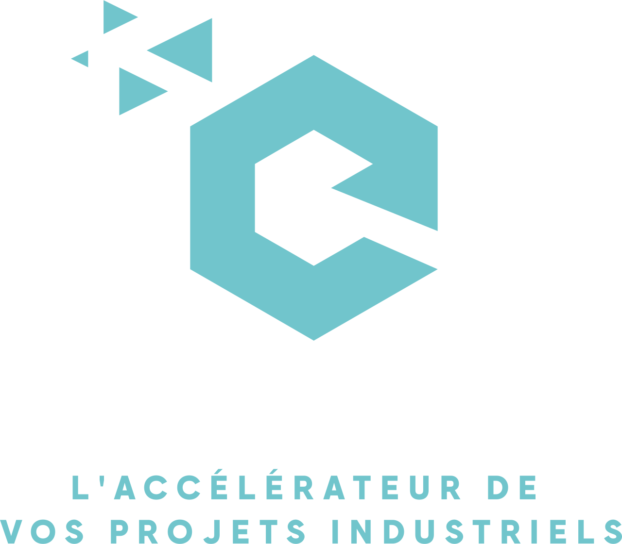 catalyst's logo