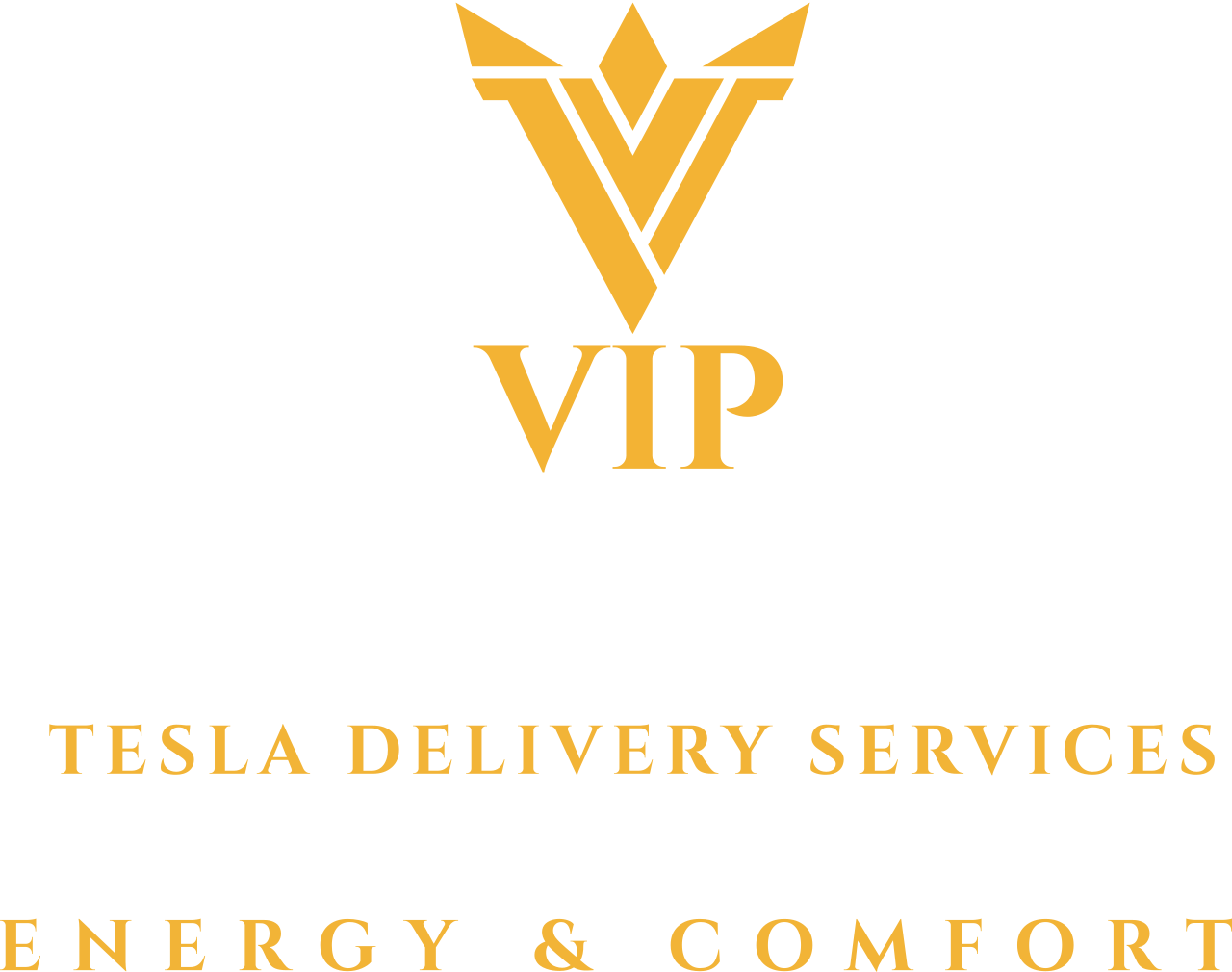 TESLA DELIVERY SERVICES's logo