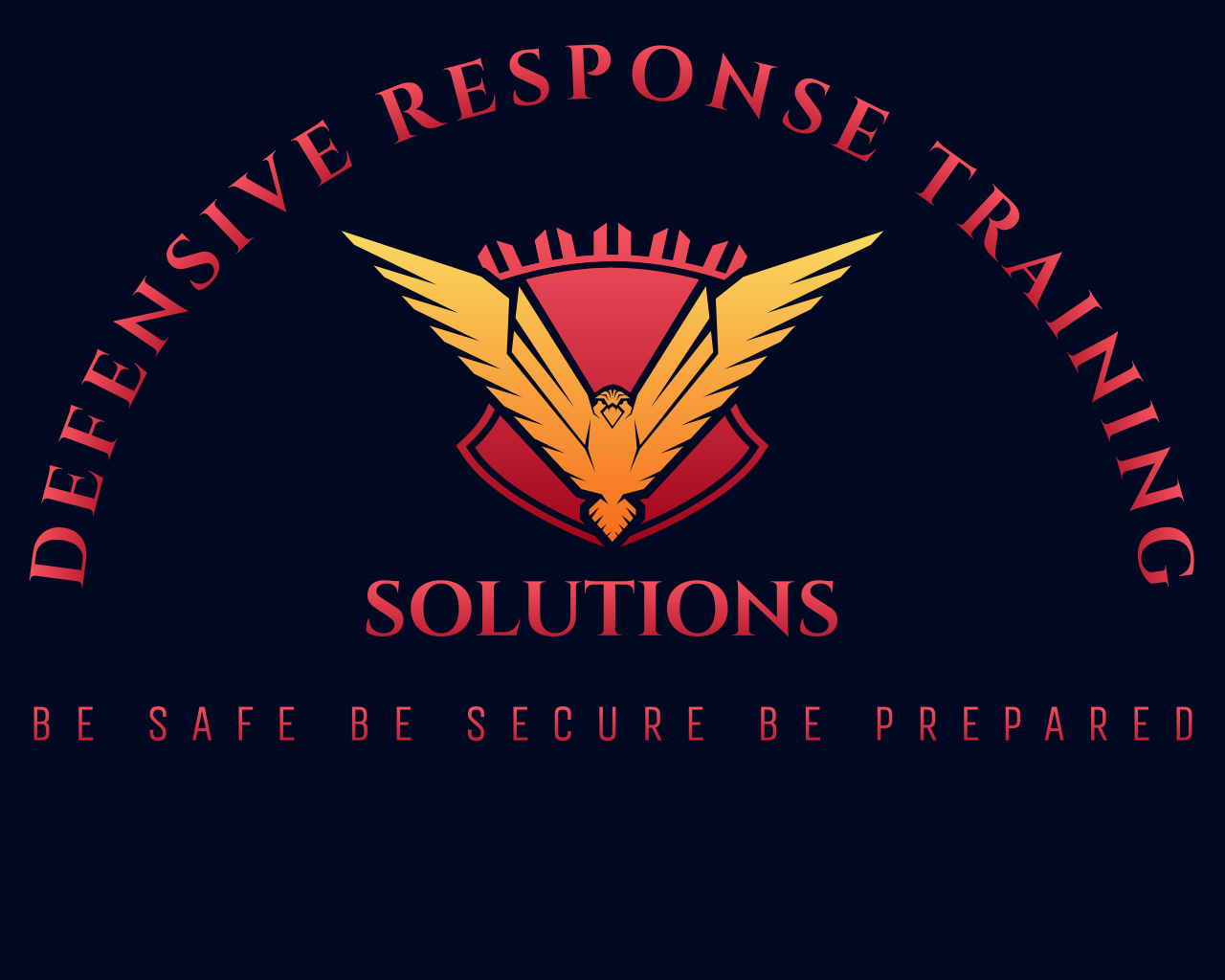 DEFENSIVE RESPONSE TRAINING SOLUTIONS's logo