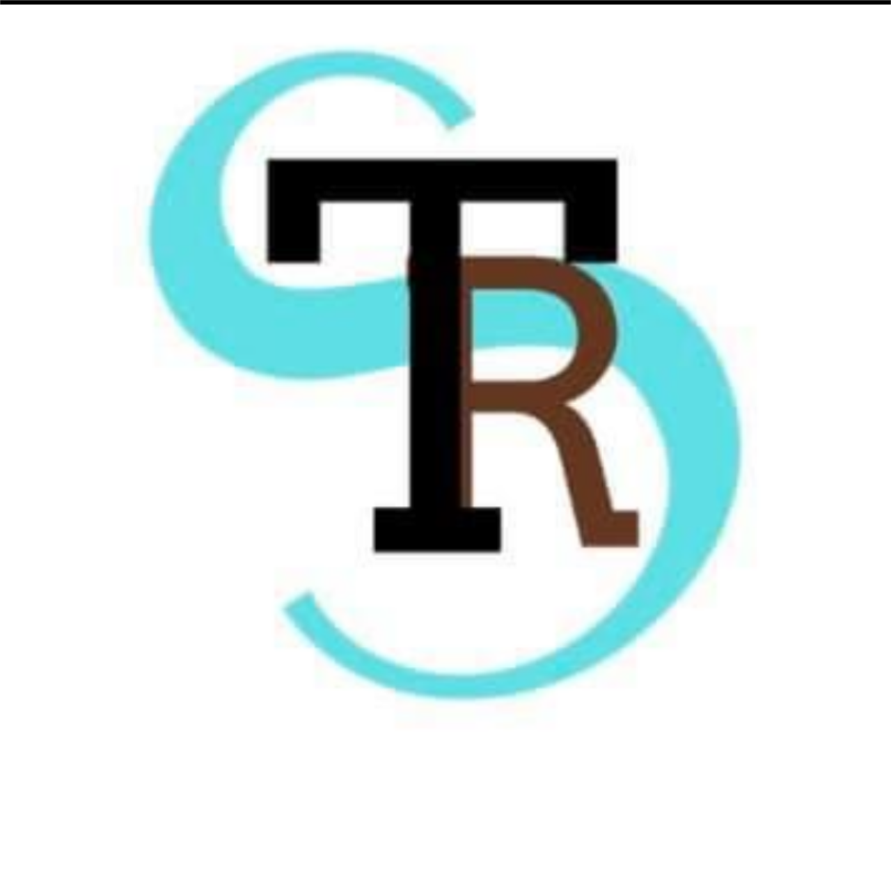 TWIN SPRINGS RANCH's logo