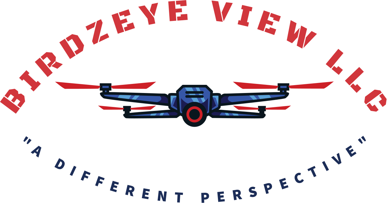 BIRDZEYE VIEW LLC's logo