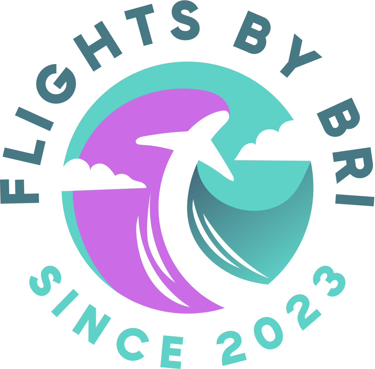 Flights by Bri's logo