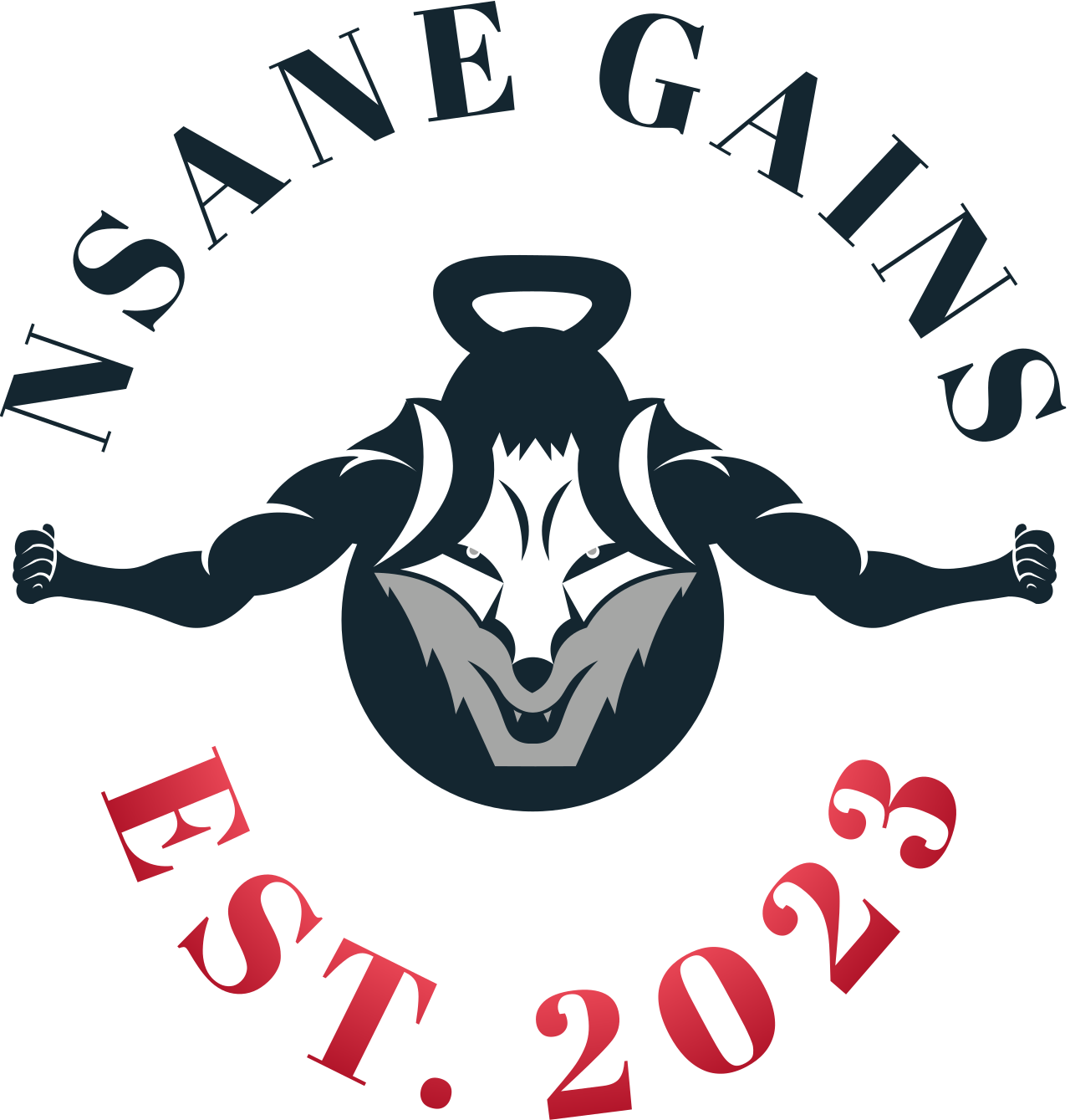 NSANE GAINS's logo