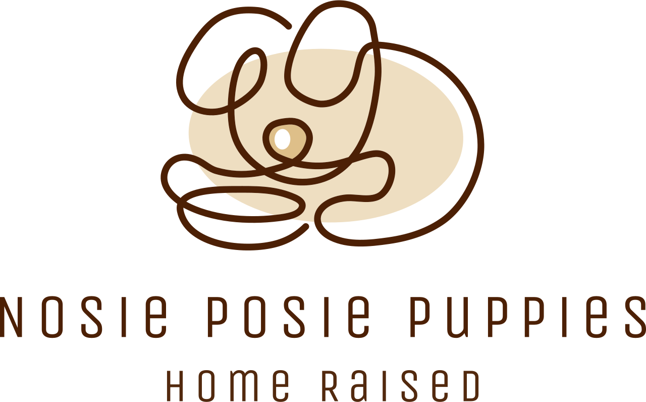 Nosie Posie Puppies's logo