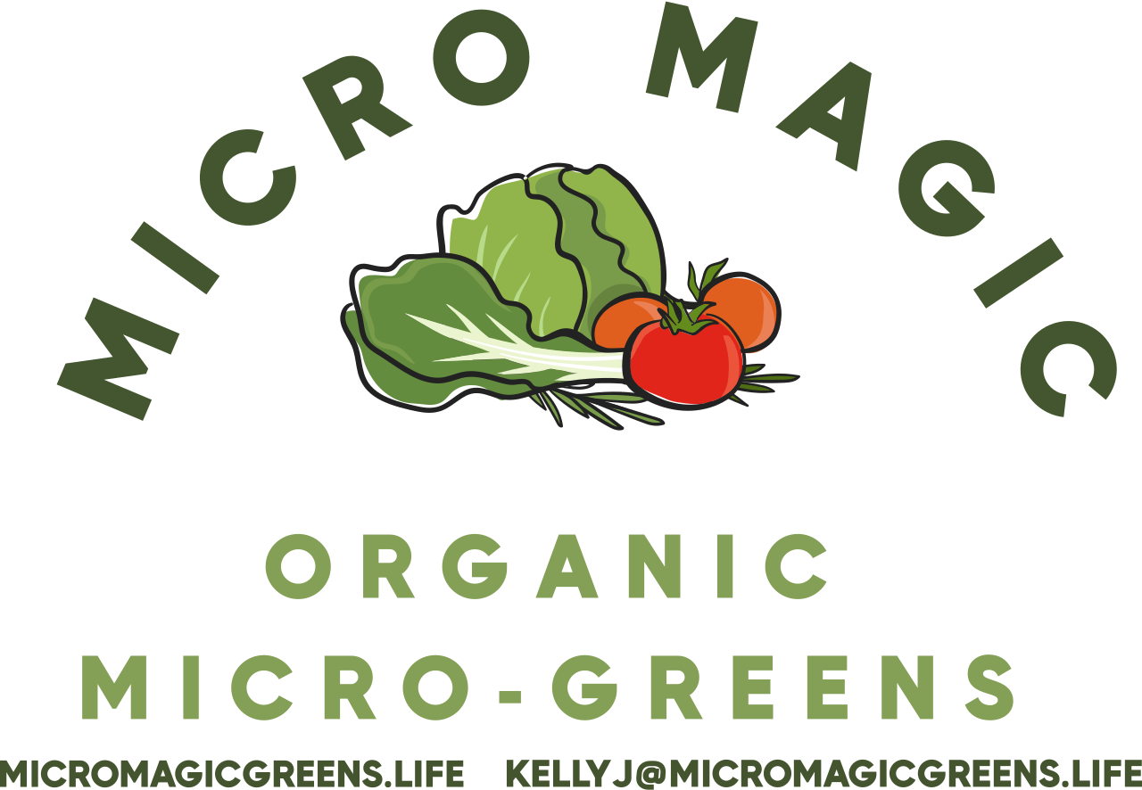 Micro Magic's logo