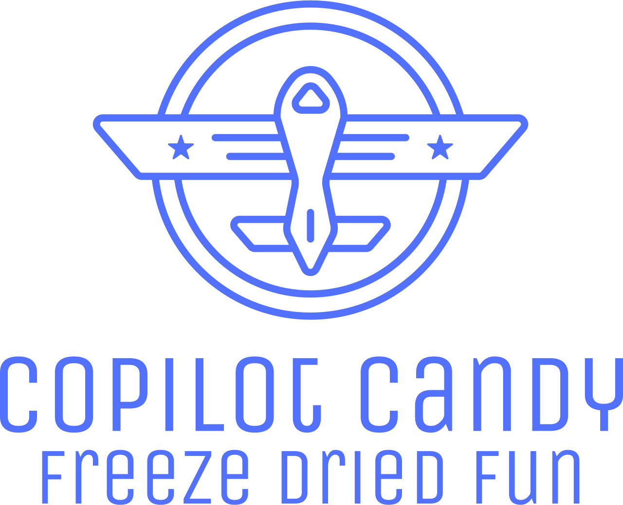 CoPilot Candy's web page