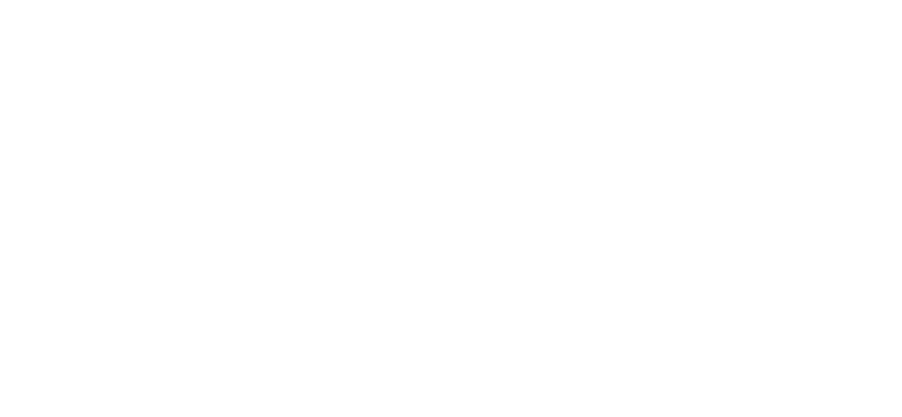  BLACK DIAMONDS LIFE COACHES/PROFESSIONALS PLATFORM's logo